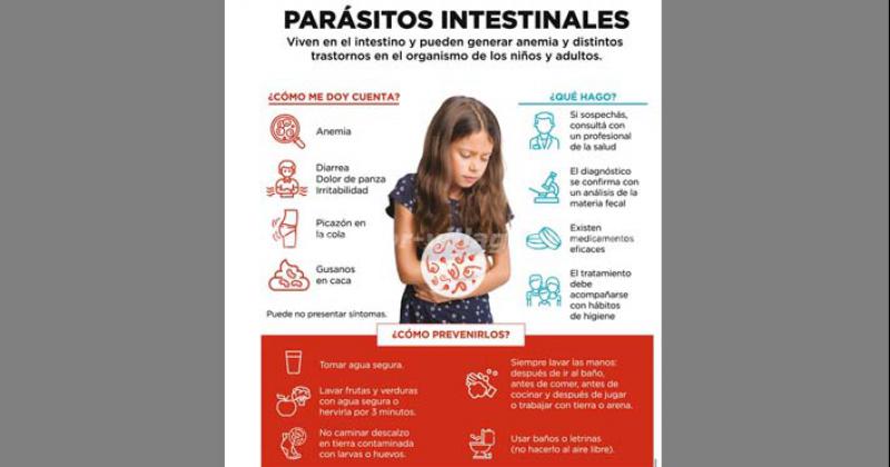 En la Argentina las parasitosis intestinales impactan principalmente en las poblaciones m�s vulnerables
