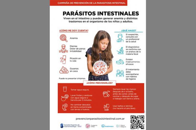 En la Argentina las parasitosis intestinales impactan principalmente en las poblaciones m�s vulnerables