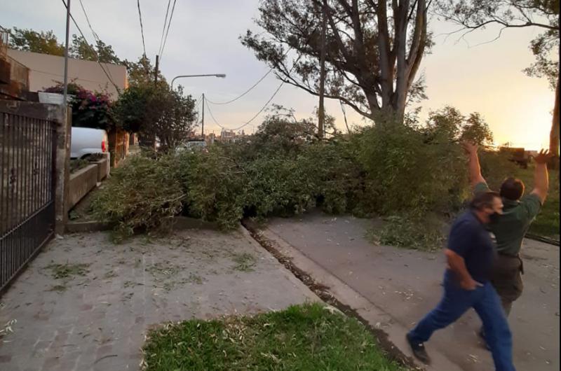 El lugar donde la poda ocasionó el corte de un cable