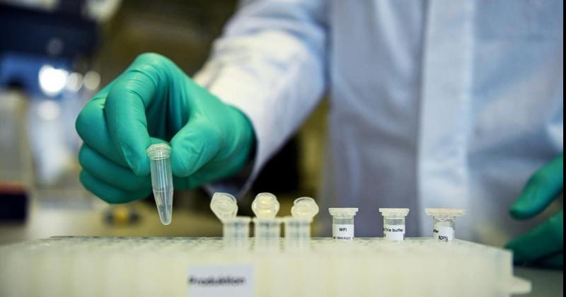 Fueron dados de alta 32 pacientes en las últimas 24 horas