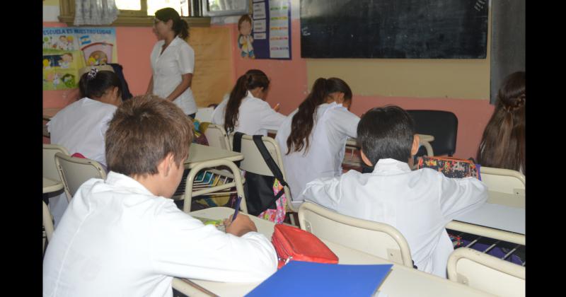 Según el número de plantel educativo en cada escuelas se har�n hasta 15 tests de antígenos