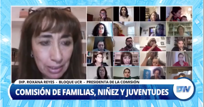 La comisión de Familias Niñez y Juventudes realizó una reunión informativa 