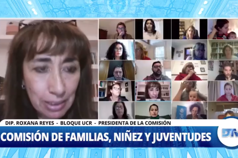La comisión de Familias Niñez y Juventudes realizó una reunión informativa 