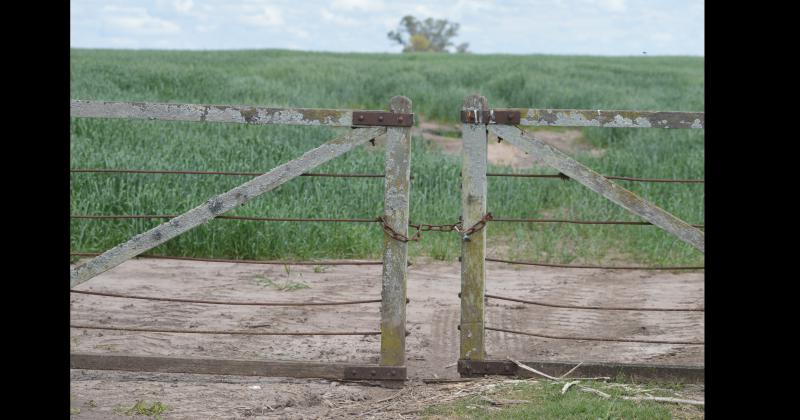 Un matrimonio que vive en la zona rural fue asaltado y golpeado por tres delincuentes (IMAGEN ILUSTRATIVA)