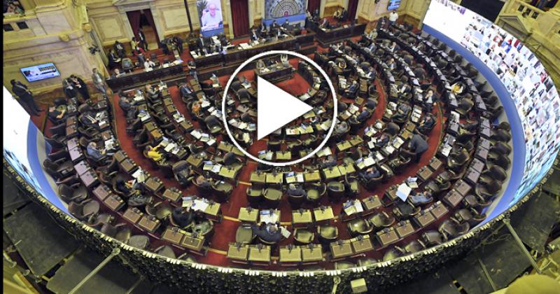 Diputados analiza el proyecto de alivio fiscal para monotributistas