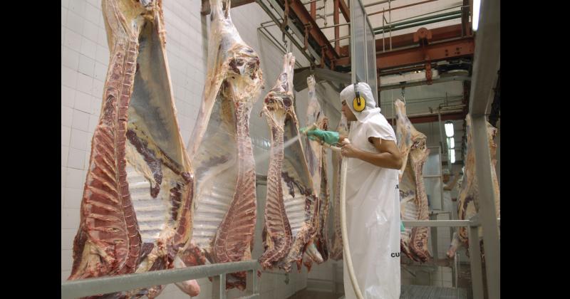 Kulfas anunció el nuevo esquema de exportaciones para la carne vacuna