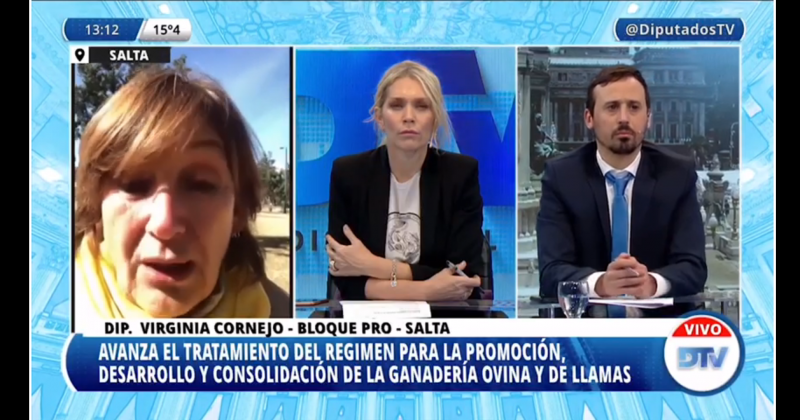 Legisladores de distintas fuerzas opinaron sobre un proyecto de ley del oficialismo que modifica la Ley Ovina
