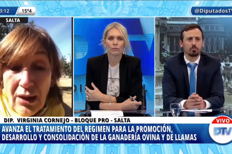 Legisladores de distintas fuerzas opinaron sobre un proyecto de ley del oficialismo que modifica la Ley Ovina