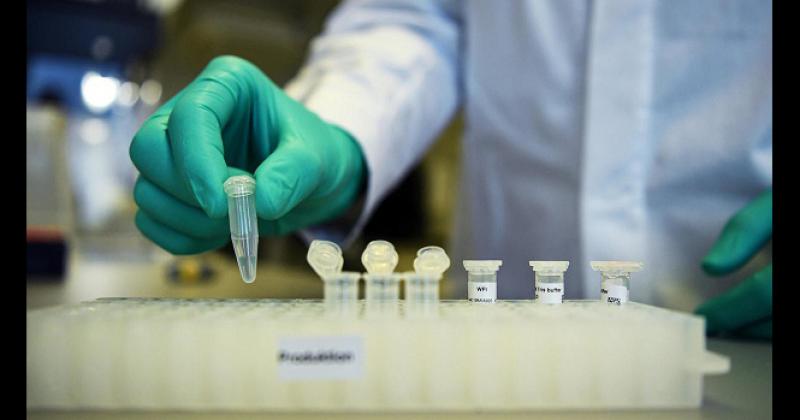 En las últimas 24 horas se activó 22 veces el protocolo- 20 con seguimiento domiciliario y 2 internados