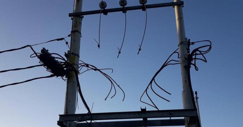 Los cables del tendido eléctrico son buscados por el metal que tienen en su interior