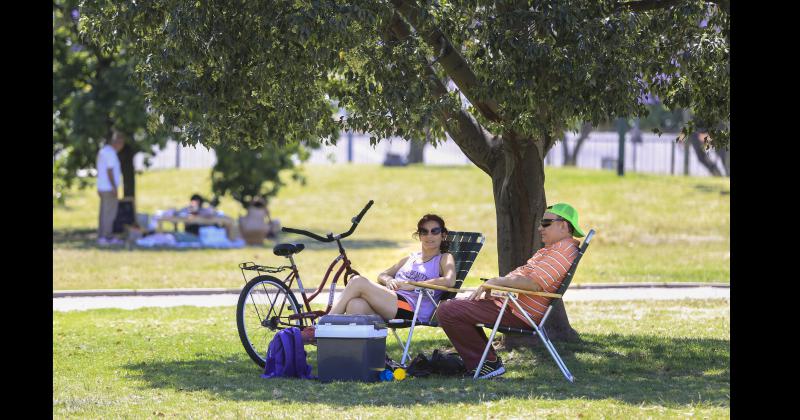 La sombra de un �rbol refugio de muchos ante estos días de agobiante calor