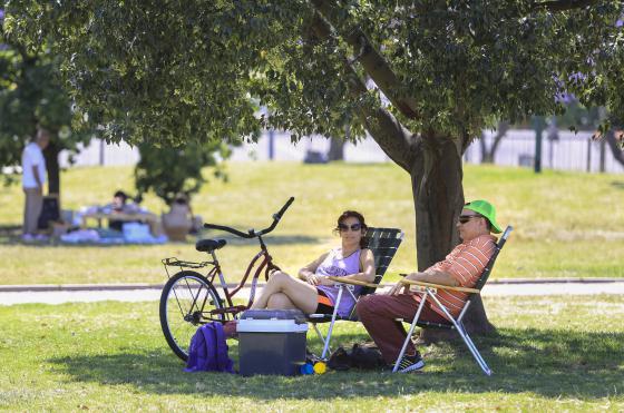 La sombra de un �rbol refugio de muchos ante estos días de agobiante calor