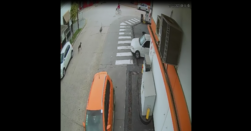 El insólito accidente se registró ayer en la ciudad de Ranchos