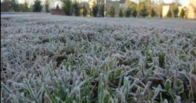 Temperaturas bajo 0 y cielo despejado para los próximos días en esta región