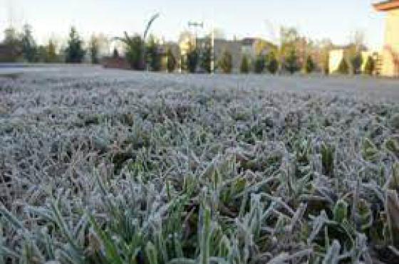Temperaturas bajo 0 y cielo despejado para los próximos días en esta región