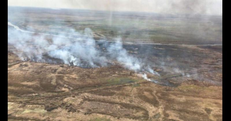 El fuego sigue afectando fuertemente al Delta del río Paran�