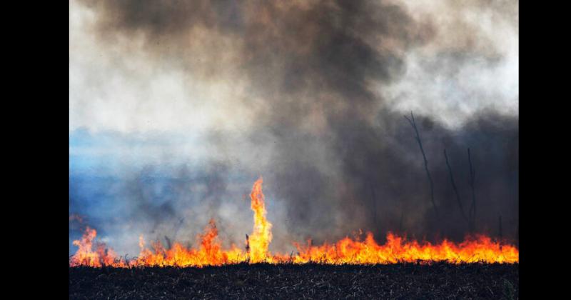 Los focos permanecen activos en las islas del Delta del Paran�