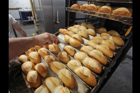 Para Julio Courtial la medida favorecer� para evitar la clandestinidad y los distintos precios de venta del pan