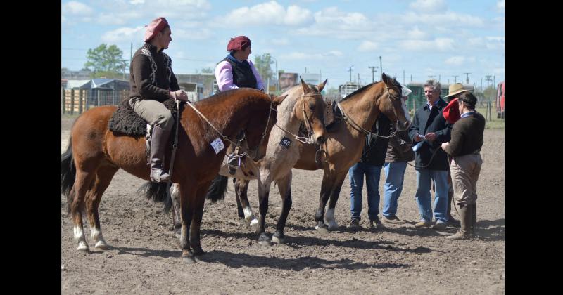 La exposición de caballos criollos una de las m�s importantes de los últimos años