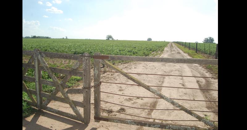 Se debe dar seguridad a 3600 kilómetros de caminos rurales