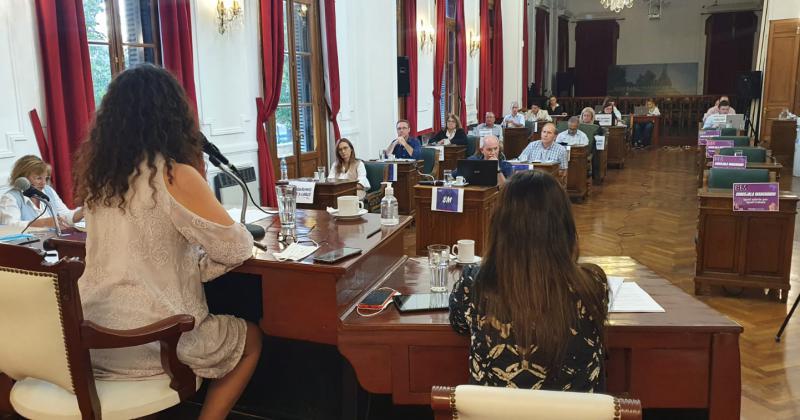 Este martes se tratar� en el Concejo Deliberante un proyecto que persigue recopilar información de los puntos donde m�s colisiones se registran