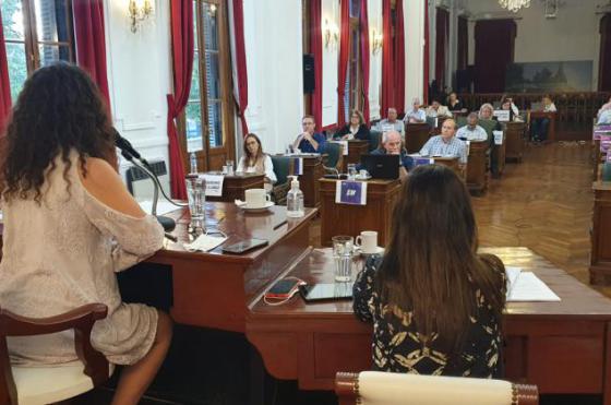 Este martes se tratar� en el Concejo Deliberante un proyecto que persigue recopilar información de los puntos donde m�s colisiones se registran