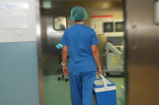 Un total de 91 donaciones efectivas de médula ósea se concretaron en la Argentina en lo que va del año