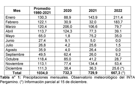 El gr�fico muestra las lluvias promedio del período 1980-2021 y de los últimos 3 años
