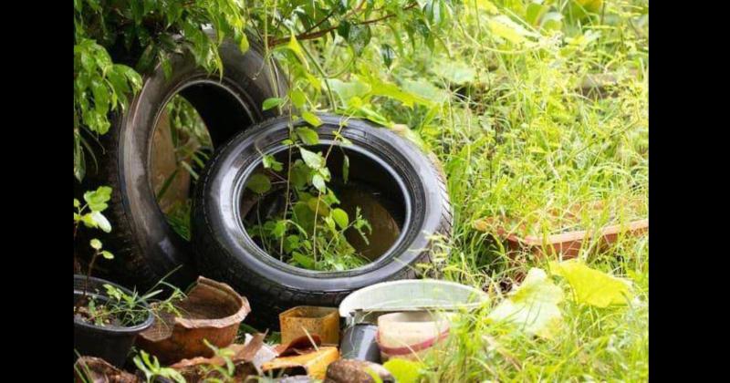 Las medidas preventivas son similares a las del dengue y resulta fundamental evitar la acumulación de agua m�s all� de la fumigación que lleva adelante la Municipalidad