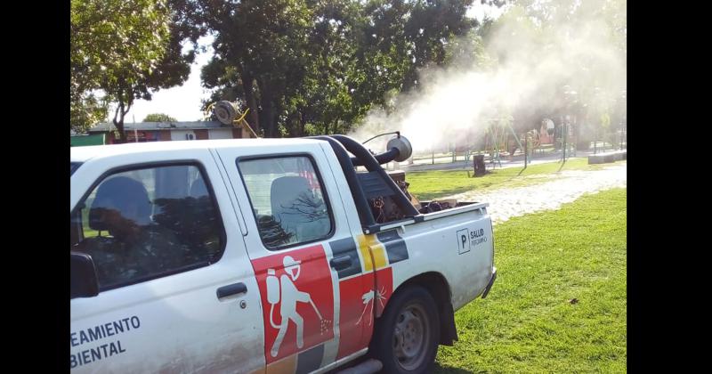 Siguen fumigando plazas parques y espacios verdes públicos de la ciudad y los pueblos