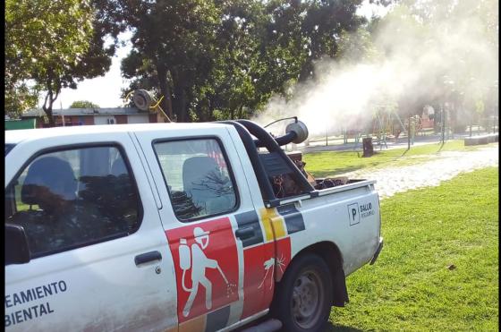 Siguen fumigando plazas parques y espacios verdes públicos de la ciudad y los pueblos