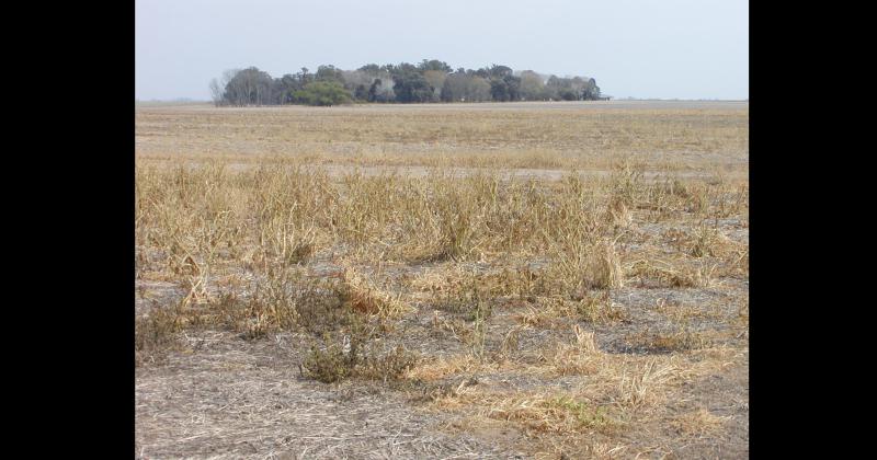 El Gobierno bonaerense declaró el estado de emergencia o desastre agropecuario en 33 partidos del distrito en diferentes períodos entre el 1° de junio y el 31 de diciembre de 2022