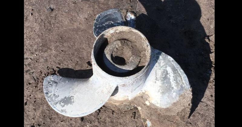 Estos elementos fueron hallados por vecinos de la ciudad en un brazo de la Laguna de Gómez