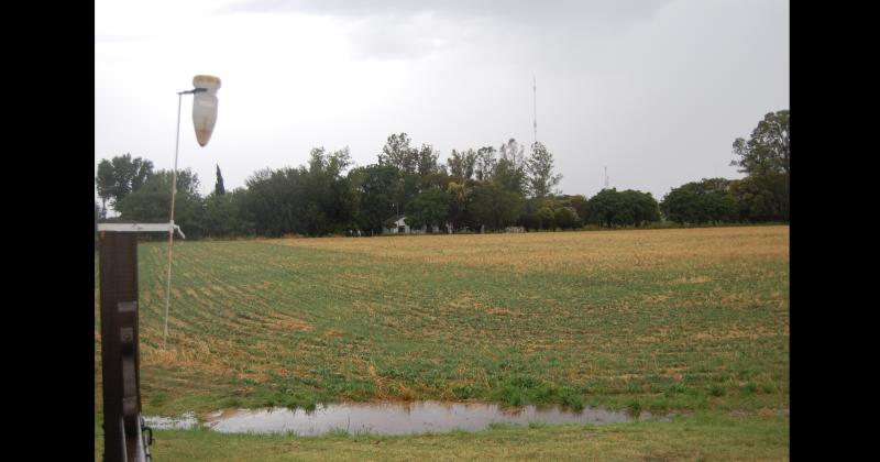 La lluvia del viernes y de ayer m�s que necesaria para la siembra de trigo