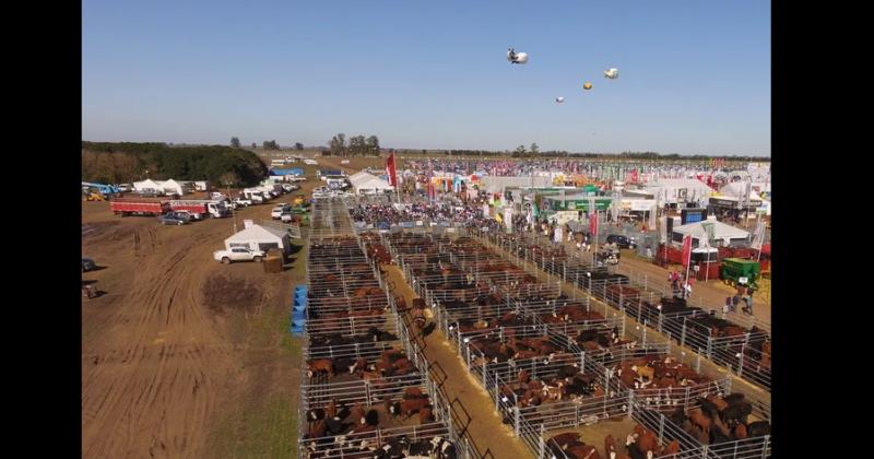 A un mes del inicio de Agroactiva est� todo listo para dar inicio a una de las mayores muestras a campo del país