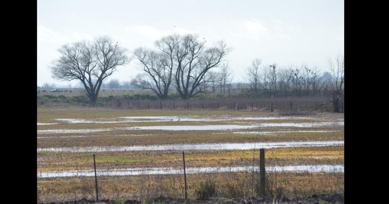 Las lluvias de este miércoles fueron desparejas en Pergamino y la zona