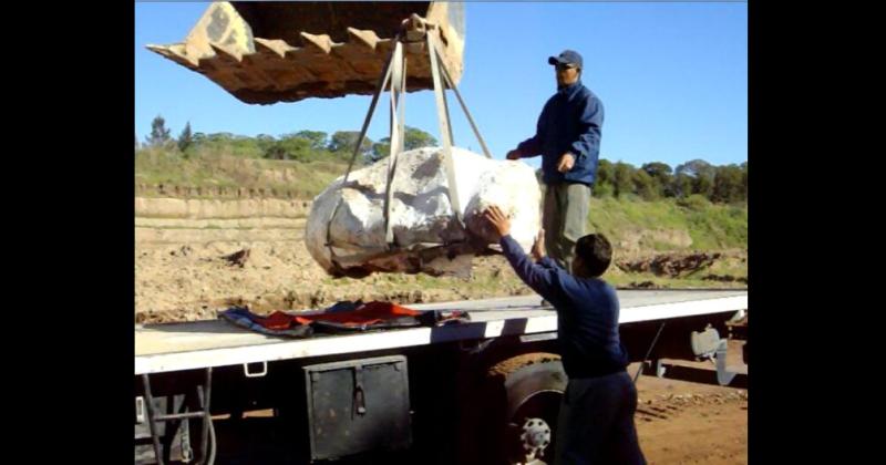 El animal conservó m�s del 95-en-porciento- del esqueleto interno