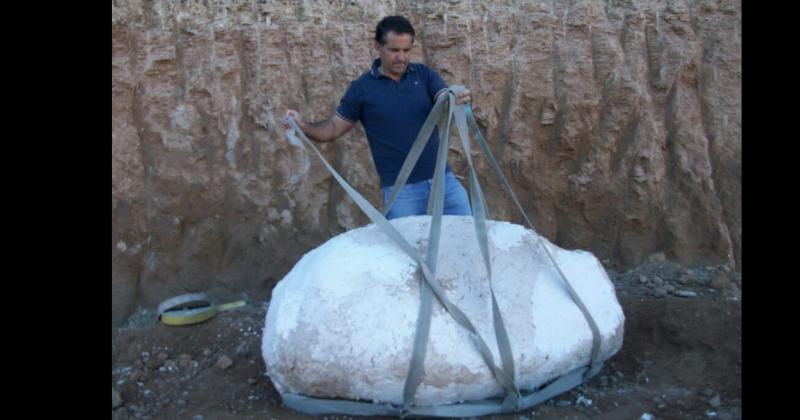 El animal murió en un humedal o pantano prehistórico junto a otros tres adultos