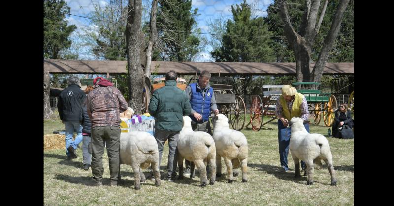 La muestra se desarrollar� en el mismo sector que se realizó la muestra de ovinos en 2022