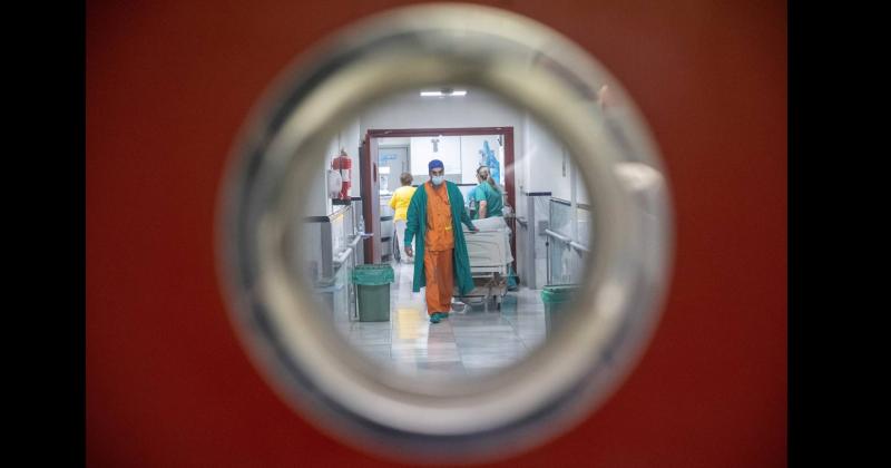  En cuanto al Covid-19 la influenza y los otros virus respiratorios se evidencia un incremento en el hemisferio norte