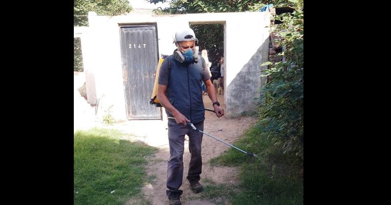 Se est� trabajando en barrio Belgrano a raíz de casos positivos de estas enfermedades que transmiten los mosquitos