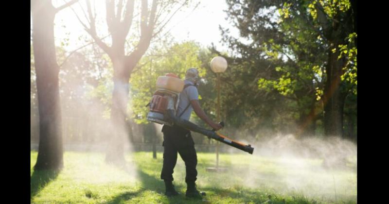 Los casos de dengue aumentaron casi un 20000-en-porciento- en un año y reclaman campañas de prevención a Nación