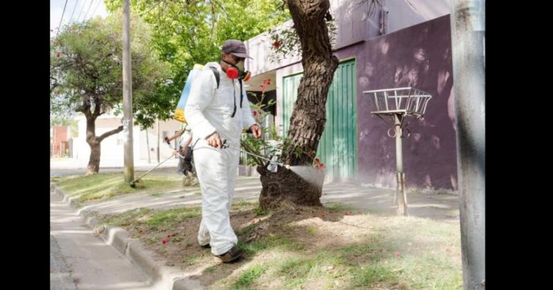 La detección de casos con signos de alarma resulta de suma importancia para anticipar las formas graves de dengue