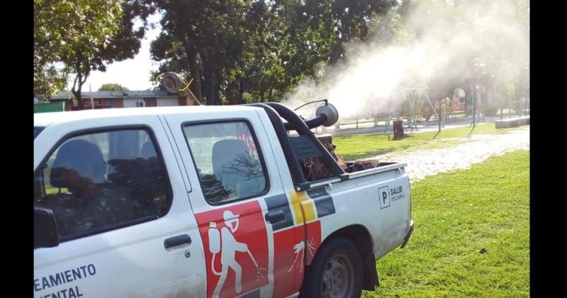 Eliminar el mosquito clave para frenar la enfermedad y cuidar a la población