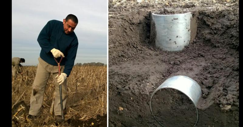 Secuestrar carbono retener nitrógeno y mejorar su fertilidad el objetivo en los suelos degradados