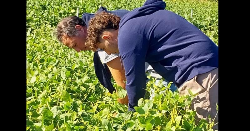 Ser� una experiencia inédita de los profesionales del INTA para mostrar su invalorable labor