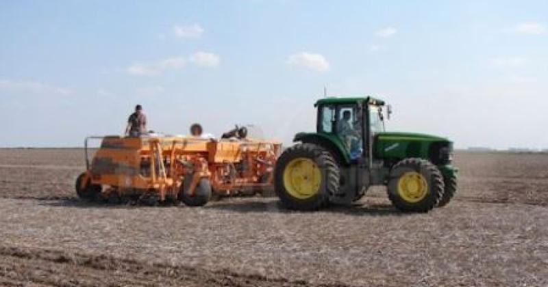 Los productores rurales llevan sembrado el 985-en-porciento- de los 63 millones de hect�reas que ser�n dedicados al trigo