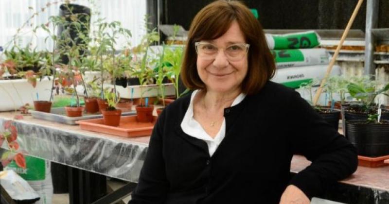 Raquel Chan la investigadora responsable del trigo HB4