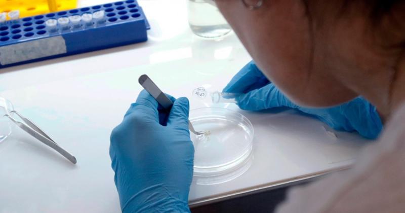 El encuentro fue de manera virtual y contó con la participación de m�s de 380 referentes de laboratorios de todo el país