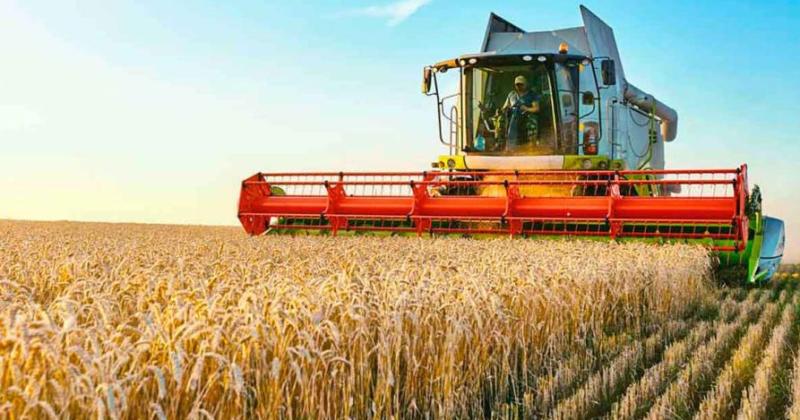 Las condiciones permitieron que la producción nacional  se ubicara en 186 millones de toneladas